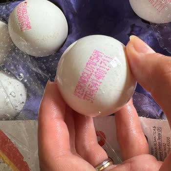 Migros'tan Aldığım Keskinoğlu Marka Yumurtalar Bozuk Çıktı