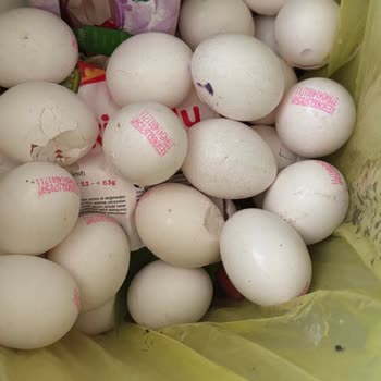 Migros'tan Aldığım Keskinoğlu Marka Yumurtalar Bozuk Çıktı