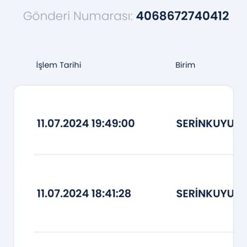 Aras Kargo Serinkuyu Şubesi Kargo Şikayeti