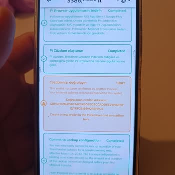 Pi Network De Kontrol Listesi Problemi
