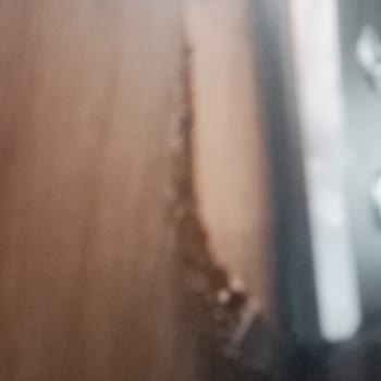 Divanev Tam Bir Pişmanlık