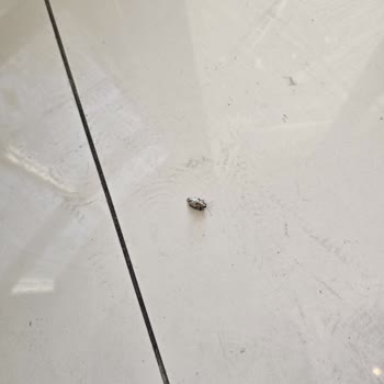 The Hera Premium Hotels Maltepe Aldığı Oda Ücretini İade Etmiyor