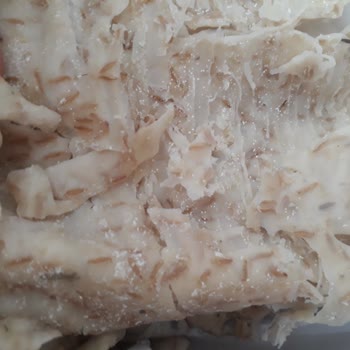 Tadımaraş Tarhana Bozuk Küflenmiş Ürün Gönderiyor