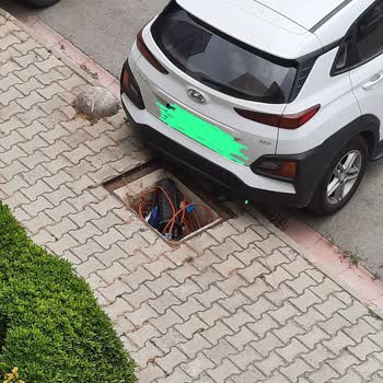 Türk Telekom Telefon Ve İnternet Hatlarının Kapağı Çalınması Hk.