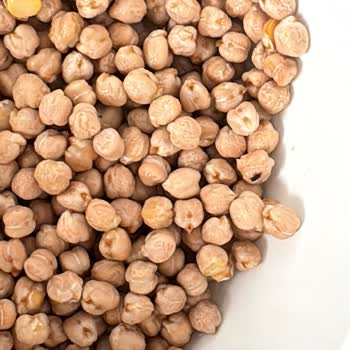 File Market Bozuk Ürün Ve Böcek Sorunu: Acil Çözüm Bekliyorum