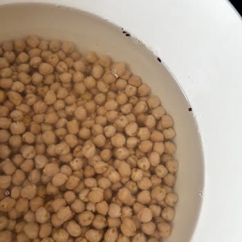 File Market Bozuk Ürün Ve Böcek Sorunu: Acil Çözüm Bekliyorum