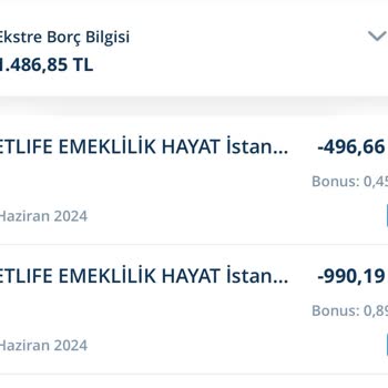 Denizbank Metlife Emeklilik Ve Hayat İle İlgili Mağduriyet