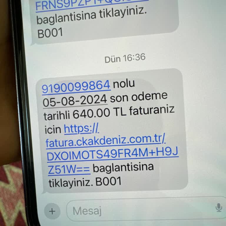 CK Enerji Akdeniz Elektrik Evde Yokuz Fazla Fatura