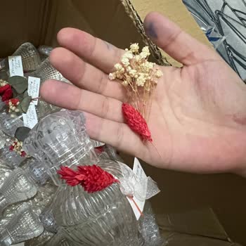 Rima Peçete Reklam Promosyon Pişmanlıktır, Kalite Nezaket Sıfır