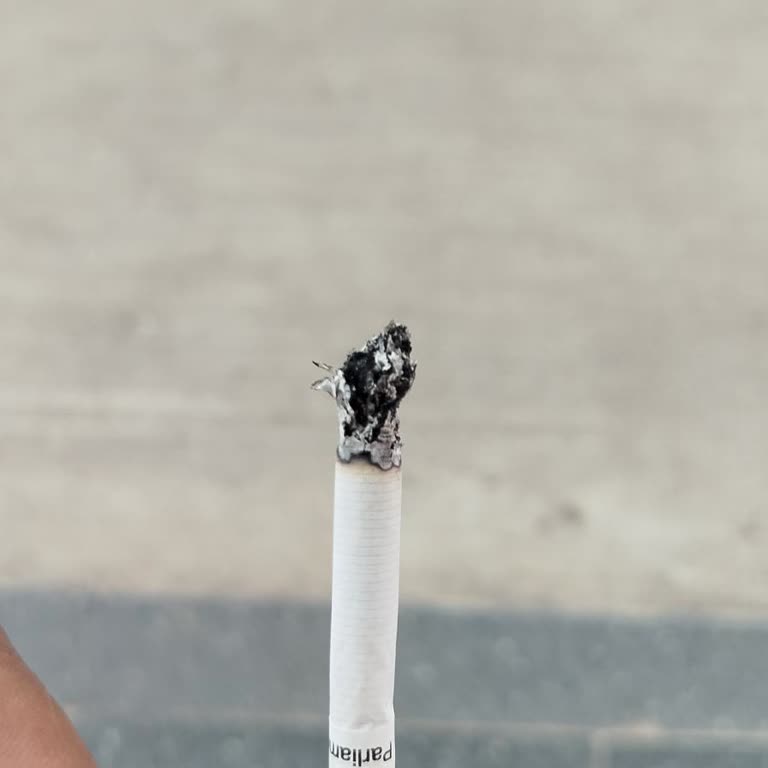 Philip Morris Sigara Nın İçinden Çöp Çıkıyor