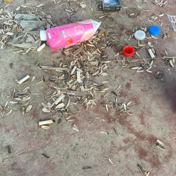 Kocaali Belediyesi Kocaali Alandere Sahil Pislik İçinde