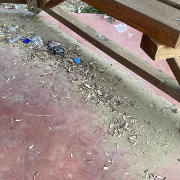 Kocaali Belediyesi Kocaali Alandere Sahil Pislik İçinde