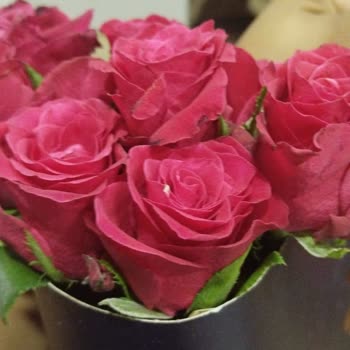 Çiçek Sepeti Kurumuş Çiçek Gönderimi