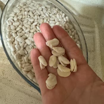 Reis Gıda Marka Kuru Fasulye Kalite Sorunu