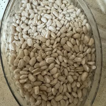 Reis Gıda Marka Kuru Fasulye Kalite Sorunu