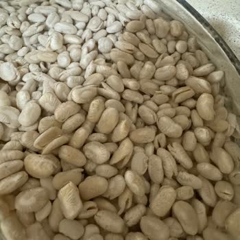 Reis Gıda Marka Kuru Fasulye Kalite Sorunu