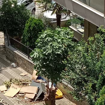 Üsküdar Belediyesi Şikayet Üzerine Yapılan Temizlik!