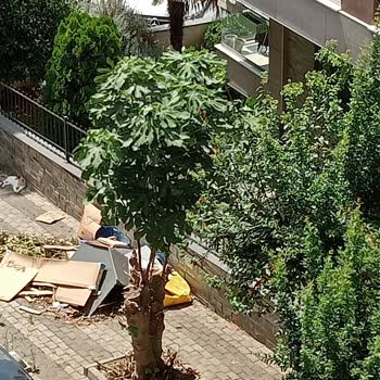 Üsküdar Belediyesi Şikayet Üzerine Yapılan Temizlik!