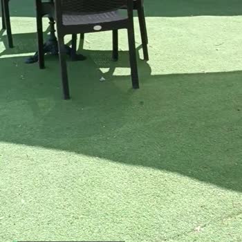 Milas Belediyesi Ören Köy Gazinosu Çöp Problemi
