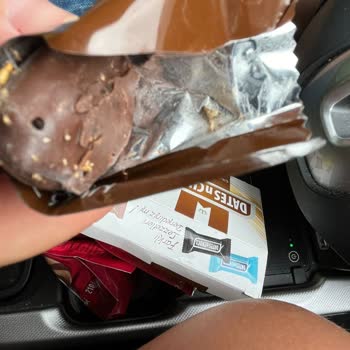 Alyan Food Alyan Gıda Kurtlu Hurma