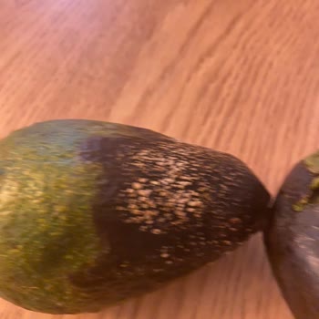 Cepte Şok Çürük Ürün Gönderiyor