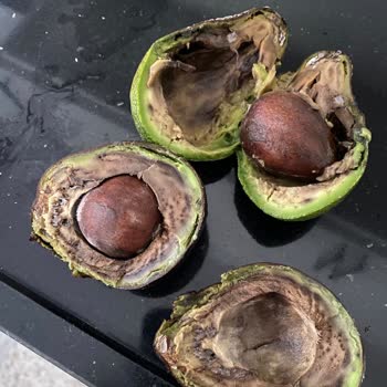 Cepte Şok Çürük Ürün Gönderiyor