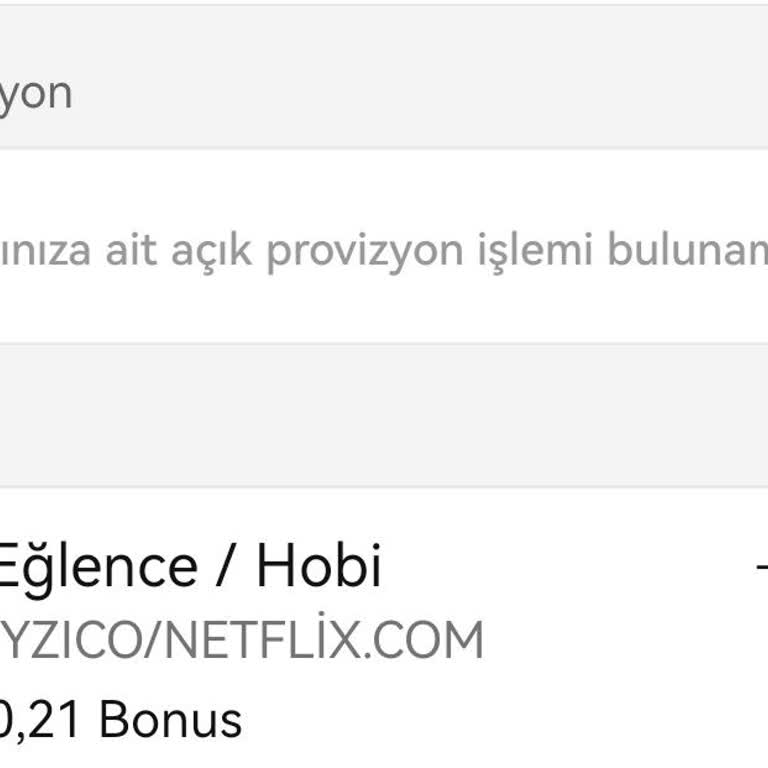 Netflix Kart Bilgilerinin Çalınması