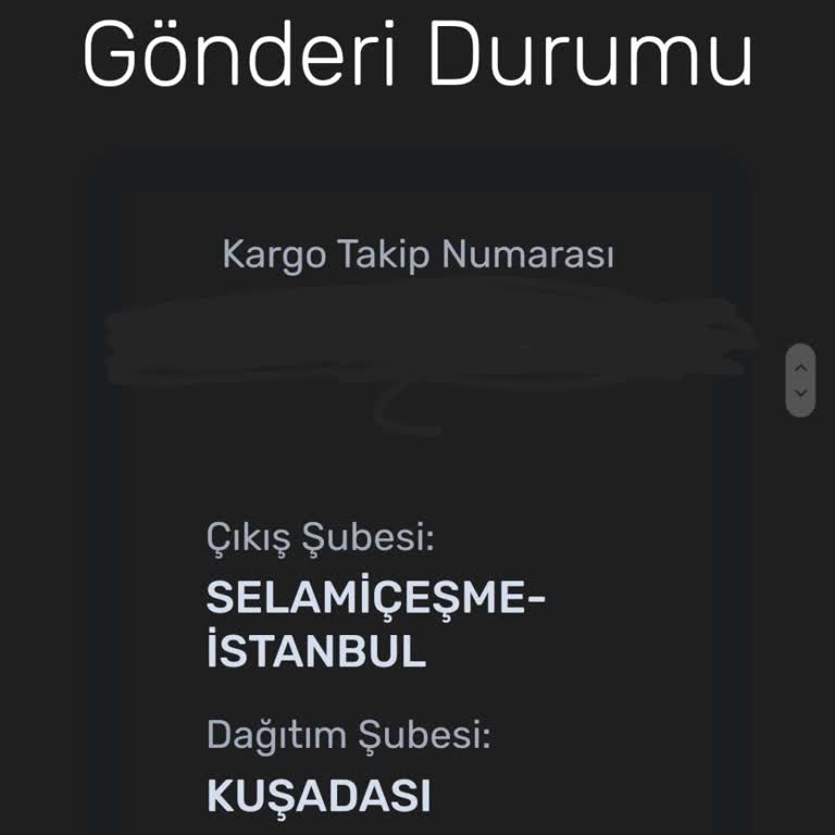 Trendyol Ve Aras Kargo İşbirliği: İade Sürecinde Mağduriyet