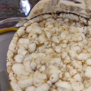 Migros Kurt Ve Böcek Yedirmeye Kararlı
