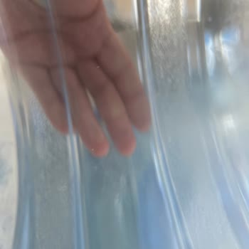 Eylül Suyun İçindeki Kahverengi Cisimler