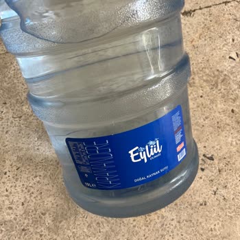 Eylül Suyun İçindeki Kahverengi Cisimler