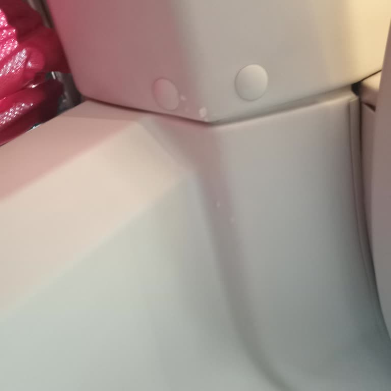 Pamukkale Truzim Sorunlu Araç