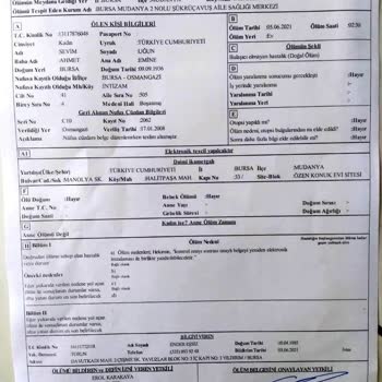 Gemlik Belediyesi Bilgi Ve Sonuç İstiyorum