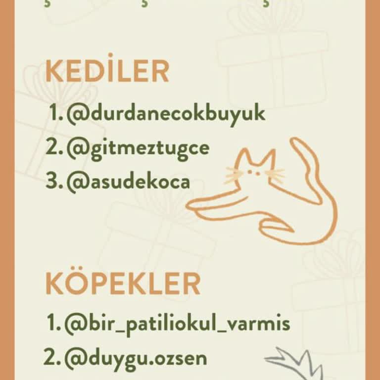 Kito Pet Food Adil Çekiliş İstiyorum