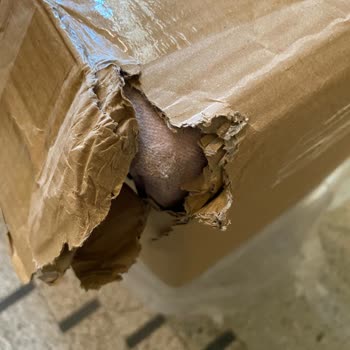 Yataş'ın Bazanın Hasarlı Ve Eksik Parçanın Sorumluluğunu Üstlenmemesi