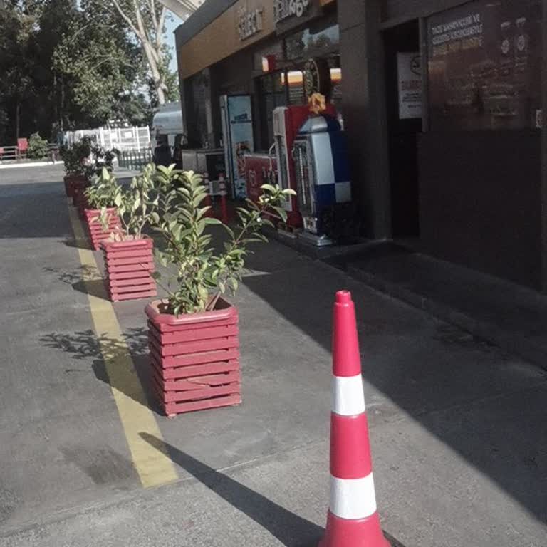 Shell Bayan Lavaboları Kullanım Dışı