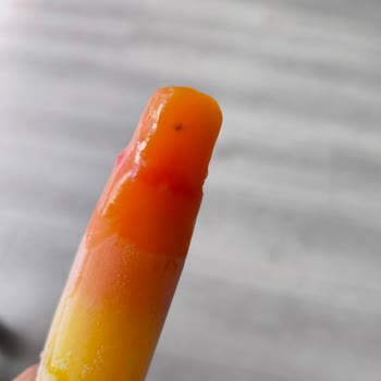 Algida Gökkuşağı Dondurmasından Böcek Çıktı!