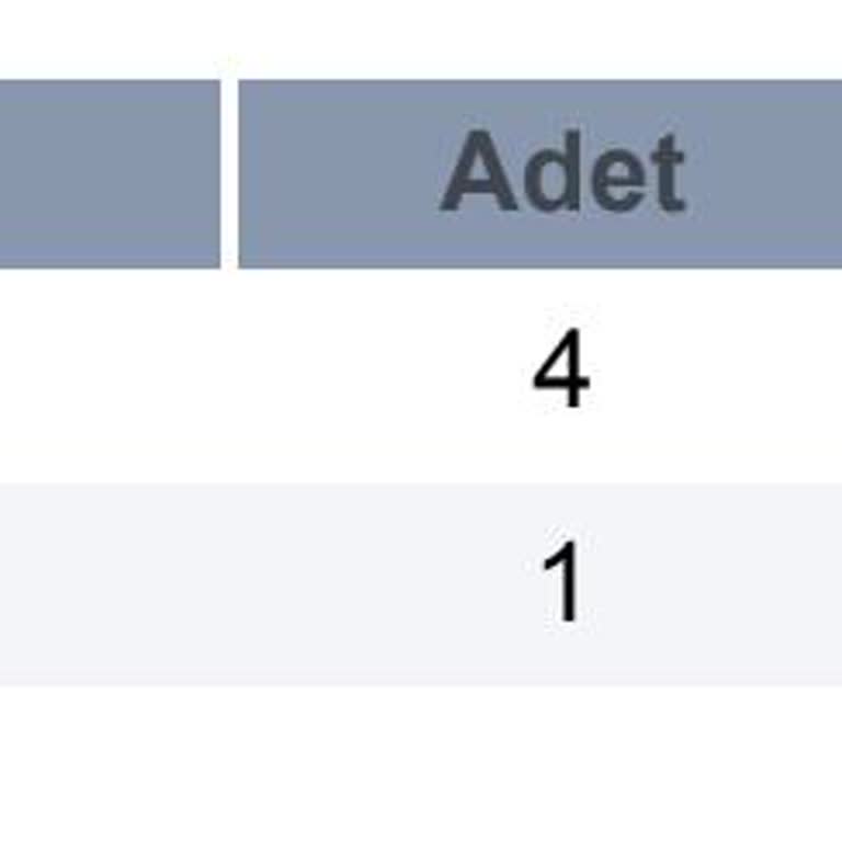 Carnet Rent A Car Kiralama Sürecinde Ekstra Ücret Ve Sigorta Sorunu
