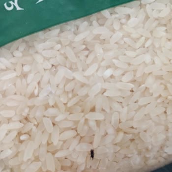 BİM Efsane Baldo Böcek