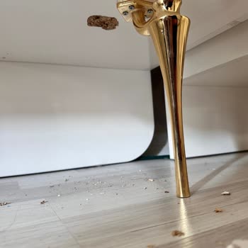 Diamoss Home (Gaziantep) DİA Home Mağazasının Mağduriyetimi Gidermesini Talep Ediyorum.