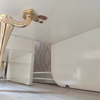 Diamoss Home (Gaziantep) DİA Home Mağazasının Mağduriyetimi Gidermesini Talep Ediyorum.