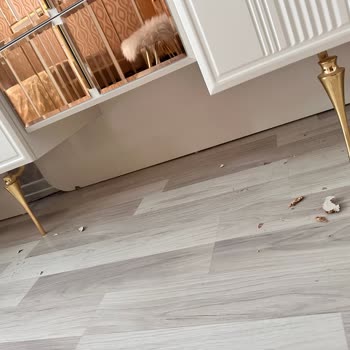 Diamoss Home (Gaziantep) DİA Home Mağazasının Mağduriyetimi Gidermesini Talep Ediyorum.