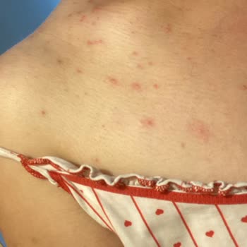 Duru Sabun Duru Mavi Duş Jeli