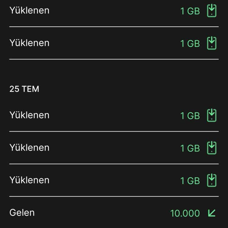 Kim GB İster Puanlarımı Dönüştürmeme Rağmen İnternetim Yüklenmedi.