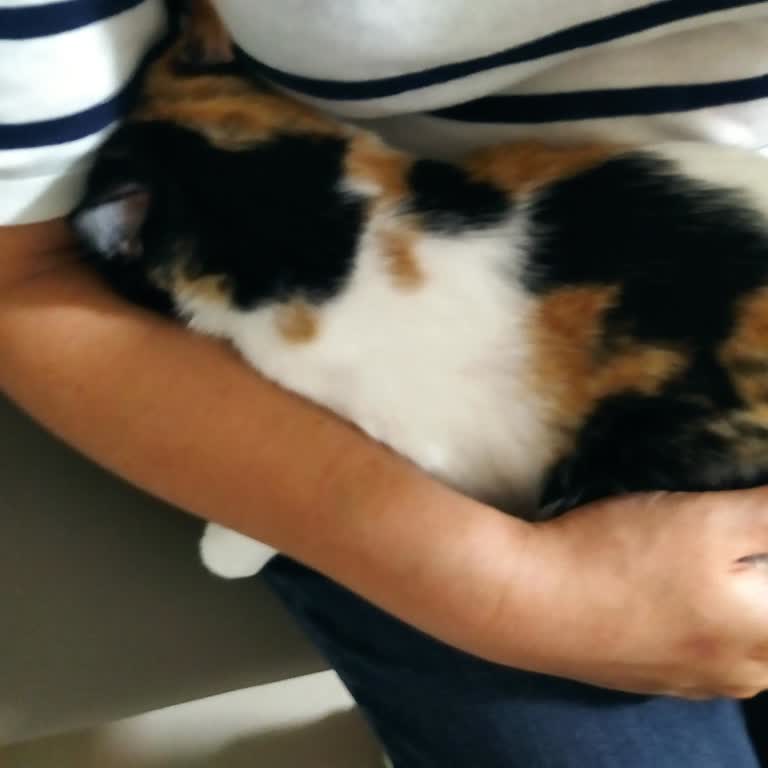 Sekans Hayvan Sağlığı Laboratuvarı Hatalı Tahlil Sonucu