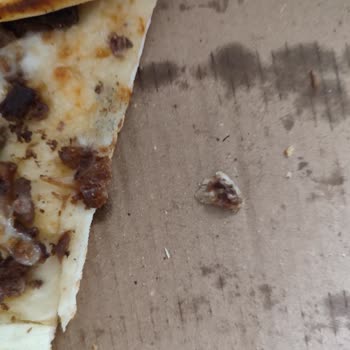 Yemeksepeti Pideden Kemik Çıktı!