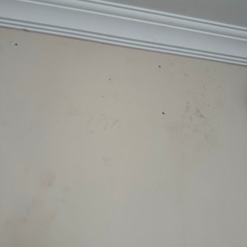 Vestel Klima İle Yaşadığım Büyük Hayal Kırıklığı