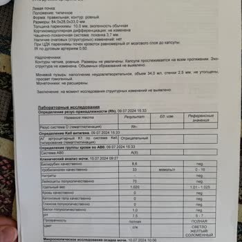 Жалоба На Компанию Mego travel, Не Делают Возврат Денег