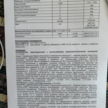 Жалоба На Компанию Mego travel, Не Делают Возврат Денег