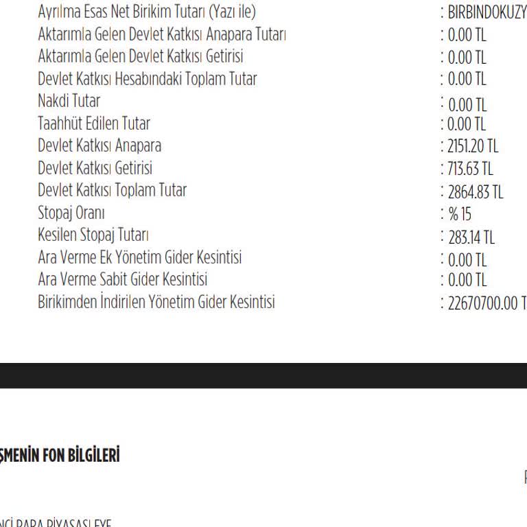 Agesa Toplam Birikiminizin %85'ni Kesiyor